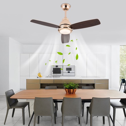 Inch gold walnut - inch, &