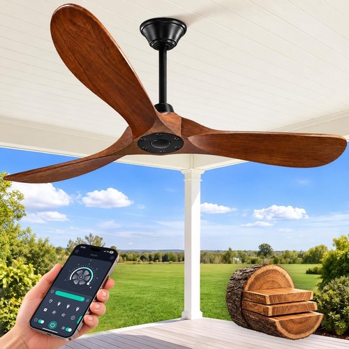 Outdoor ceiling fan - 60",