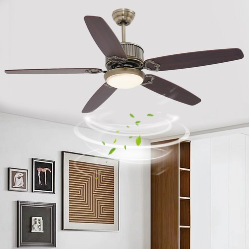 Brown modern smart - brown,